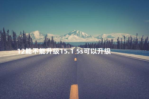12能不能升级15.1 5s可以升级ios12吗